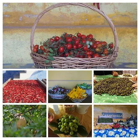 Agriturismo Casa Gialla Gospodarstwo agroturystyczne Lipari (Isola Lipari)