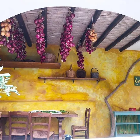 Gospodarstwo agroturystyczne Agriturismo Casa Gialla