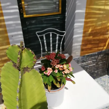 Séjour à la ferme Casa Gialla *