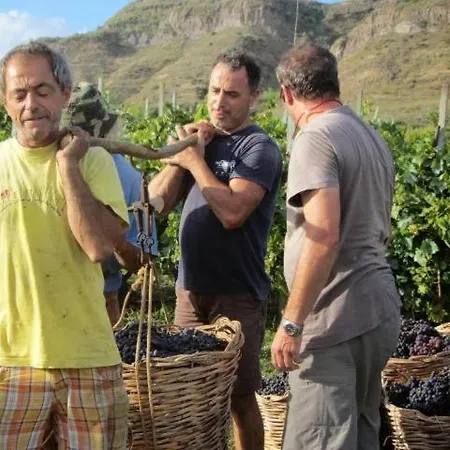 Séjour à la ferme Casa Gialla Lipari (Isola Lipari)