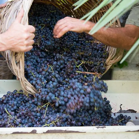 Séjour à la ferme Casa Gialla *