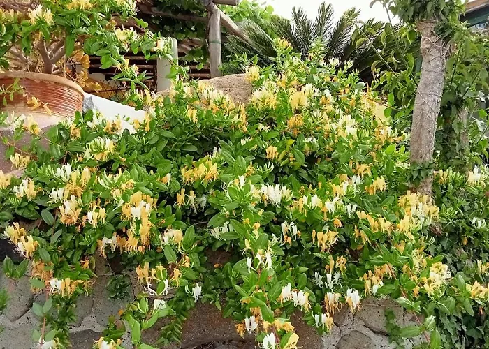 Agroturismo Casa Gialla