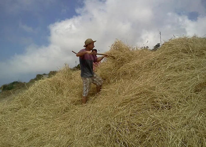 Farma Casa Gialla Lipari (Isola Lipari)