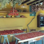 Casa Gialla Farm stay *