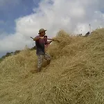 Farm stay Casa Gialla Lipari (Isola Lipari)