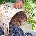 Casa Gialla Farm stay Lipari (Isola Lipari)