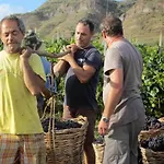 Farm stay Casa Gialla Lipari (Isola Lipari)