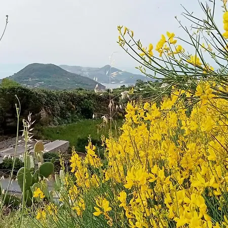 Agriturismo Casa Gialla Bauernhof Lipari (Isola Lipari)