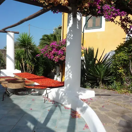 Agriturismo Casa Gialla Bauernhof