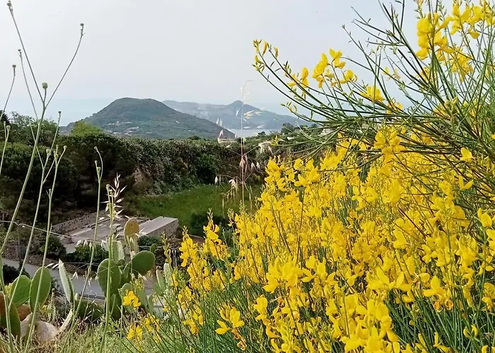 Casa Gialla Farm stay Lipari (Isola Lipari)