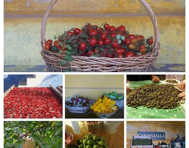 Casa Gialla Farm stay Lipari (Isola Lipari)