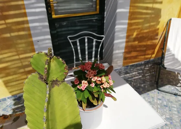 Farm stay Casa Gialla *