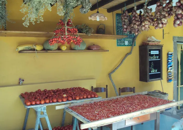 Casa Gialla Alloggio per agriturismo *