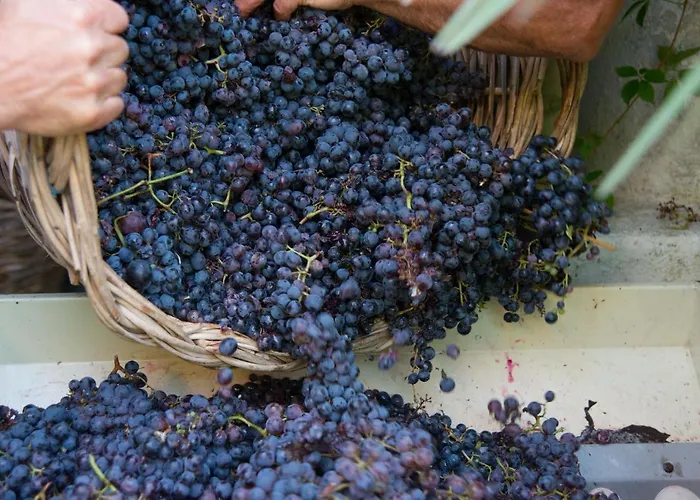 Alloggio per agriturismo Casa Gialla *