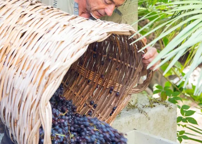 Casa Gialla Alloggio per agriturismo Città di Lipari