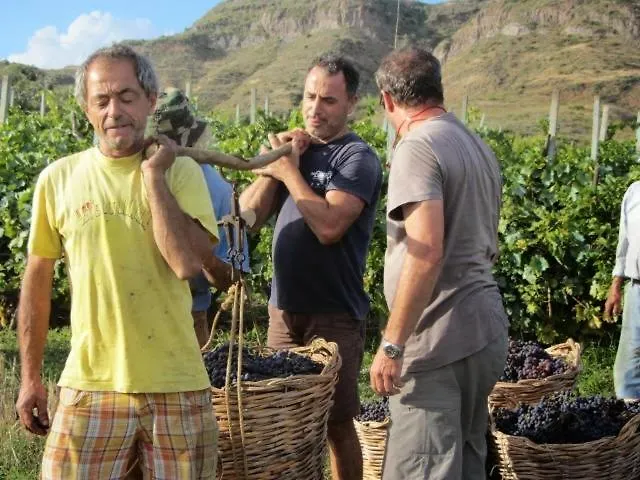 Farm stay Casa Gialla Lipari (Isola Lipari)